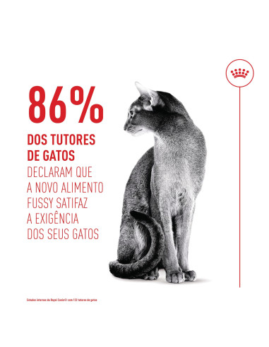 Royal Canin Fussy Exigent, Gato, Seco, Adulto, Alimento/Ração