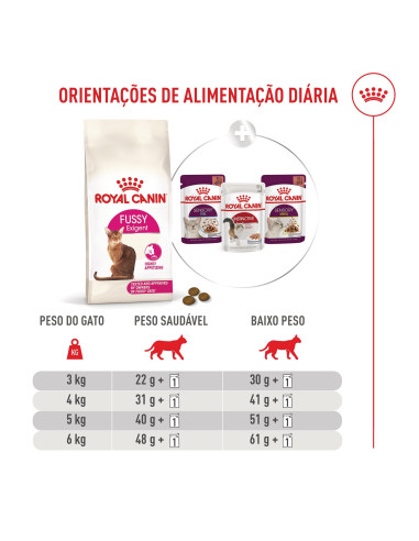 Royal Canin Fussy Exigent, Gato, Seco, Adulto, Alimento/Ração
