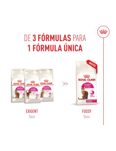 Royal Canin Fussy Exigent, Gato, Seco, Adulto, Alimento/Ração 2