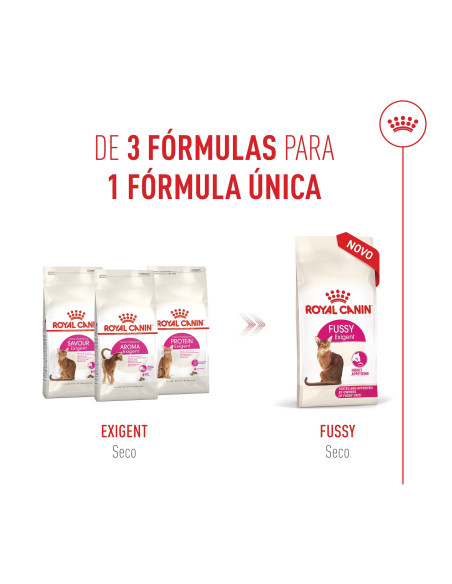 Royal Canin Fussy Exigent, Gato, Seco, Adulto, Alimento/Ração