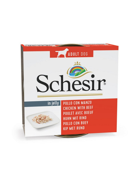 Schesir Cão Húmidos in jelly Frango com Carne