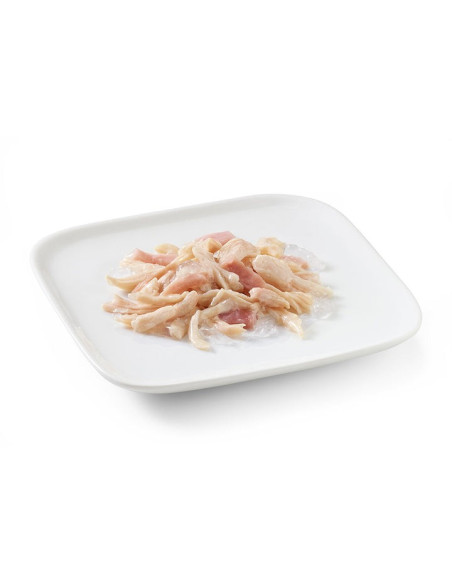 Schesir Cão Húmidos in jelly Frango com Presunto 150gr