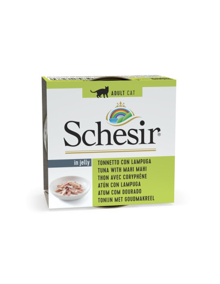 Schesir Gato Húmidos in jelly Atum com Dourado