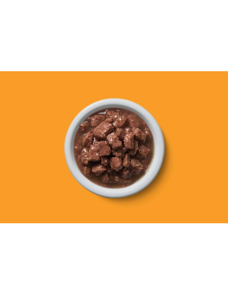 Lily's Kitchen Gato Húmidos Tasty Cuts in Gravy 8x85gr