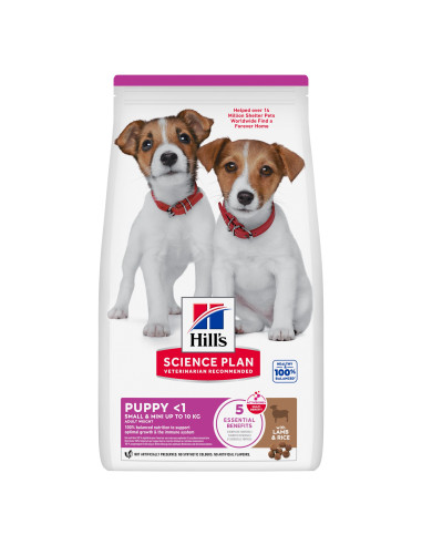 Hill's Science Plan Cão Puppy Small e Mini Borrego