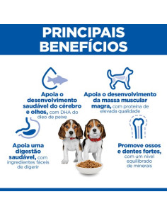 Hill's Science Plan Puppy  Medium 12kg 2