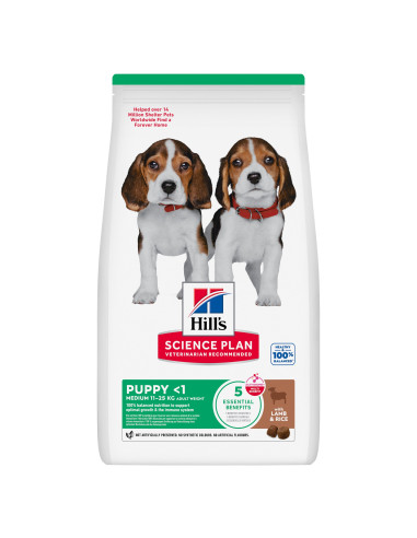 Hill's Science Plan Cão Puppy Medium Borrego