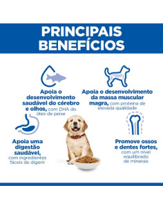 Hill's Science Plan Puppy Large Breed 11kg 2