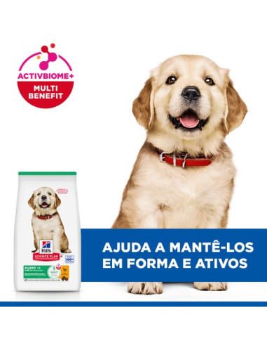 Hill's Science Plan Puppy Large Breed 11kg