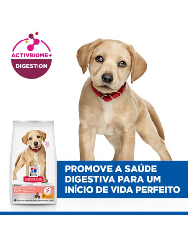 Hill's Science Plan Cão Puppy Perfect Digestion Large Breed Frango