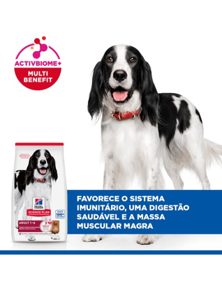 Hill's Science Plan Canine Medium Adult Borrego 12kg