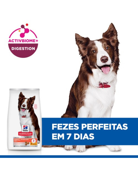 Hill's Science Plan Cão Adulto Perfect Digestion Medium Frango