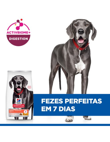 Hill's Science Plan Cão Adulto  Perfect Digestion Large Breed Frango