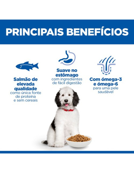 Hill's Science Plan Cão Adulto Hypoallergenic Large Breed Salmão