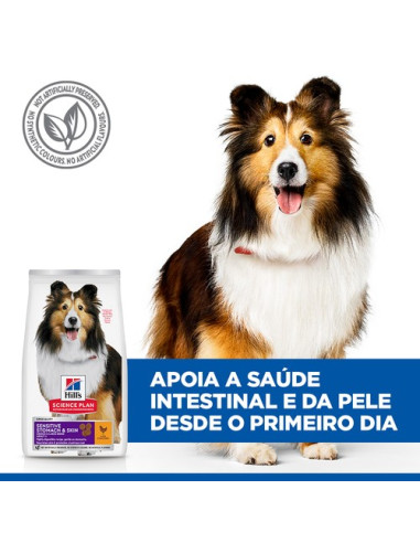 Hill's Science Plan Canine Adult Sensitive Stomach e Skin Frango 12kg