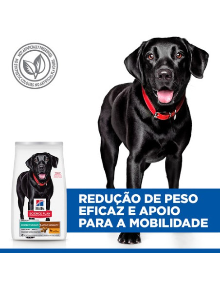 Hill's Science Plan Cão Adult Perfect Weight & Active Mobility Large Breed