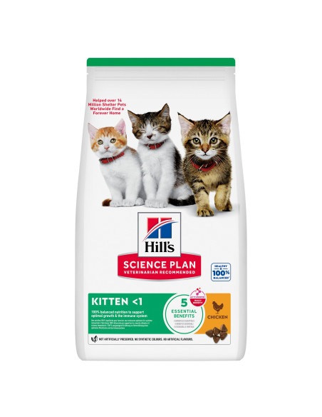 Hill´s Science Plan Feline Kitten Chicken 2kg