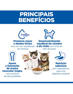 Hill´s Science Plan Feline Kitten Chicken 2kg 2