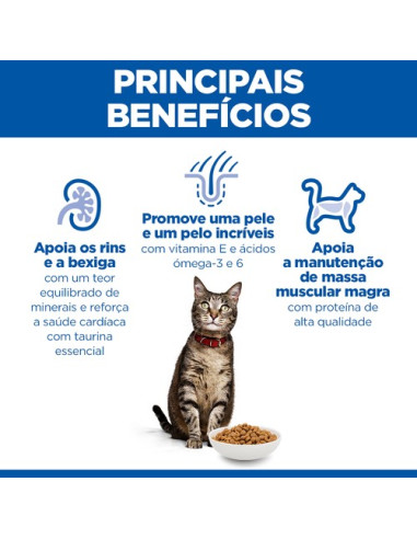 Hill´s Science Plan Feline Adult Chicken 10kg 
