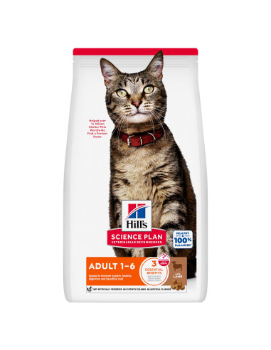 Hill´s Science Plan Feline Adult Chicken 10kg 