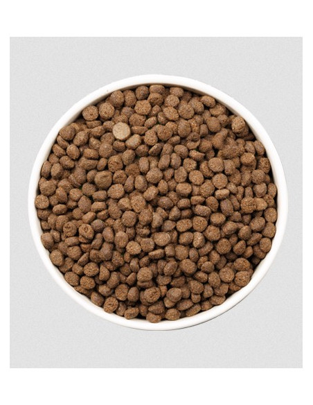 Ownat Cão Care Weight Control