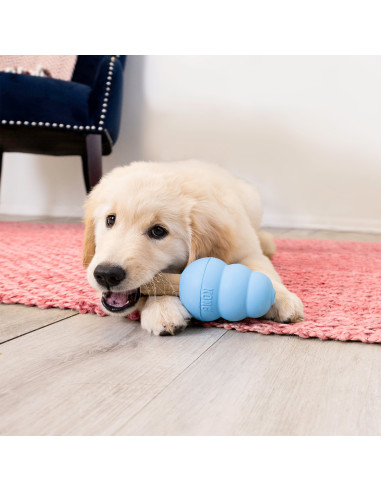 Kong Snacks Ziggies p/rechear Brinquedos PUPPY - S (XZ92E)