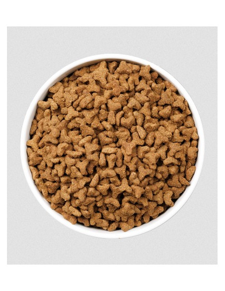 Ownat Gato Care Weight Control