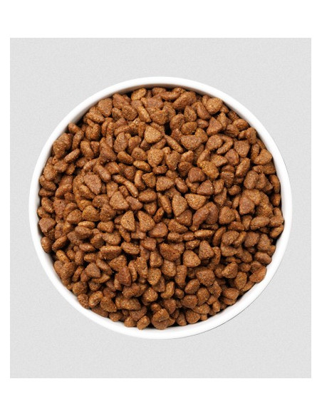 Ownat Gato ULTRA Kitten Sterilised