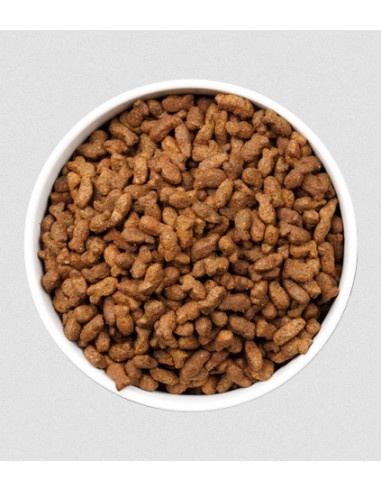 Ownat Gato ULTRA Young Sterilised Fish
