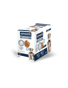Advance Cão e Gato Húmidos Recovery