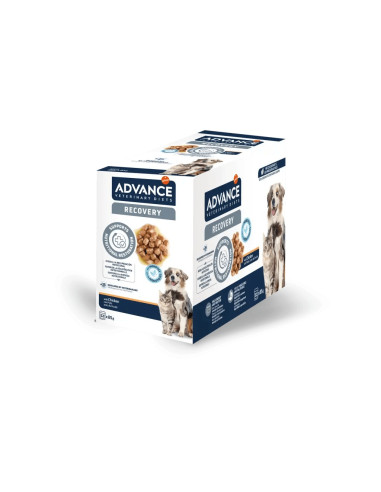 Advance Cão e Gato Húmidos Recovery