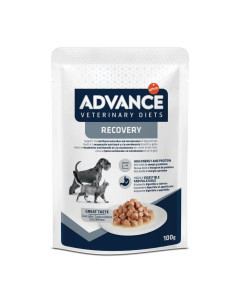 Advance Cão e Gato Húmidos Recovery 2
