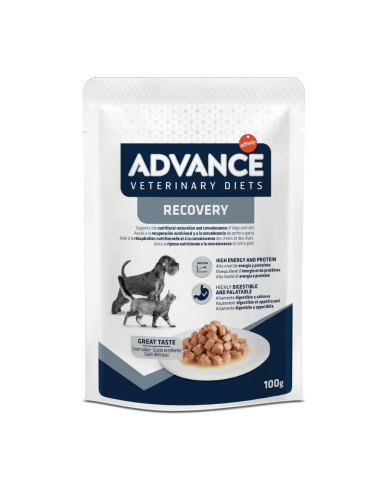 Advance Cão e Gato Húmidos Recovery