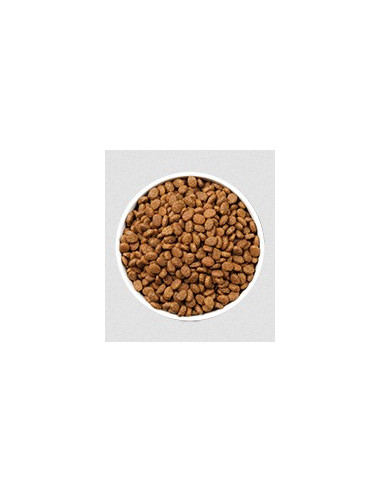 Ownat Gato ULTRA Mature Sterilised Fish