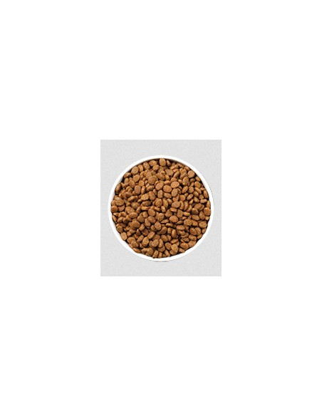 Ownat Gato ULTRA Mature Sterilised Fish