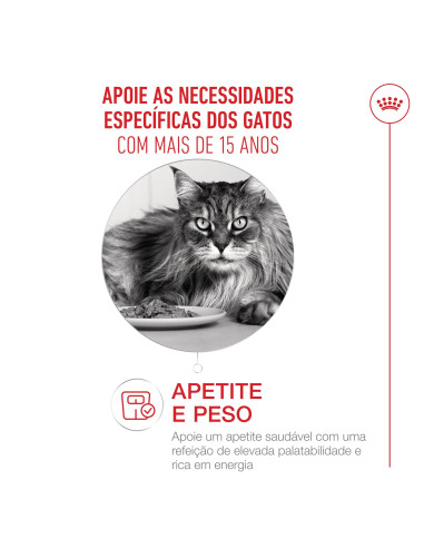 Royal Canin Ageing 15+, Gato, Seco, Sénior, Alimento/Ração