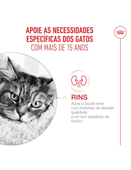 Royal Canin Ageing 15+, Gato, Seco, Sénior, Alimento/Ração