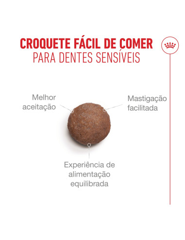 Royal Canin Ageing 15+, Gato, Seco, Sénior, Alimento/Ração