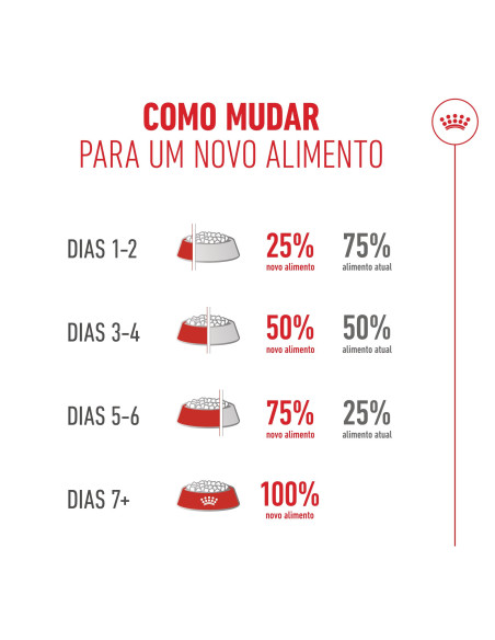 Royal Canin Ageing 15+, Gato, Seco, Sénior, Alimento/Ração