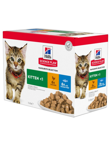 Hill's Science Plan Kitten Frango e Peixe do Oceano12x85gr