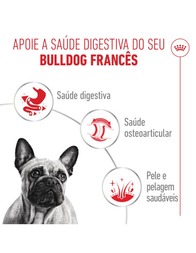 Royal Canin French Bulldog Adult, Cão, Húmidos, Adulto, Alimento/Ração