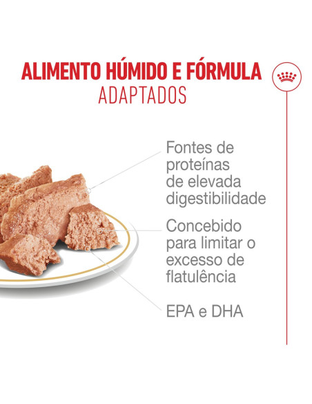 Royal Canin French Bulldog Adult, Cão, Húmidos, Adulto, Alimento/Ração
