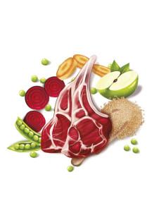 FRESH Cão Mediterranean Blend Adulto Lamb 2