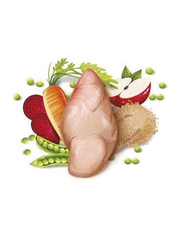 FRESH Cão Mediterranean Blend Senior Light