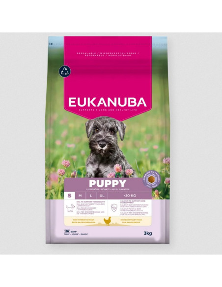 Eukanuba Cão Puppy Small Breed Frango