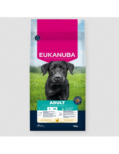 Eukanuba Adult Large Breed Frango 12Kg