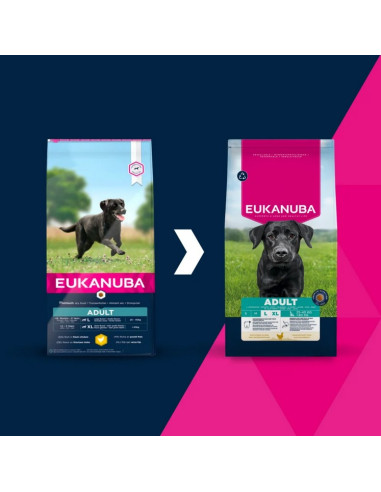 Eukanuba Adult Large Breed Frango 12Kg