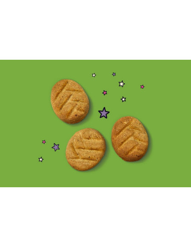 Lily's Kitchen Cão Snacks Bedtime Biscuits 80gr
