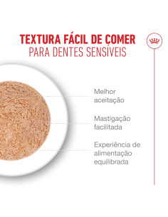 Royal Canin Ageing +15 (Mousse), Gatos, Húmidos, Sénior, Alimento 2