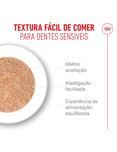 Royal Canin Ageing +15 (Mousse), Gatos, Húmidos, Sénior, Alimento